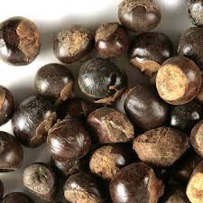 Guarana Seed Extract- Glucotil Ingredient